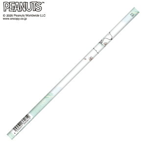 ���M 2B �X�k�[�s�[ PEANUTS ���͂� 136061 �N���b�N�X CRUX