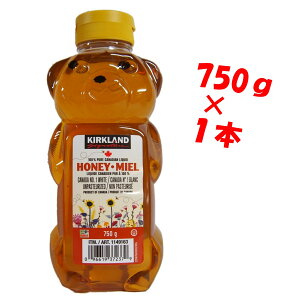 RXgR n`~c ݂͂ J[Nh VOl`[ xA[WO 750g Ji_Y  N QO1Xv[    H XC[c Ö Kirkland Signature Honey Bear