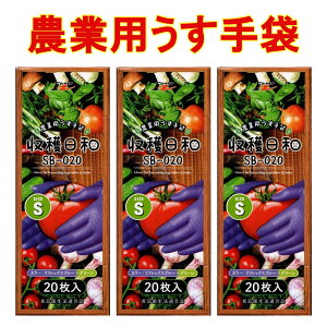  Ɨp _ _Ɨp  STCY z[P na SB-20 20×3 v60 n  K[fjO | p 
