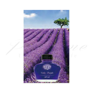 AE@{gCN@tR[jEAE 100 {g (60ml)@J[CN@124@BIip[vEFj VI3800yszybsOszylR|Xsz