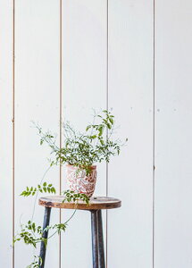 �y�s�[�v���c���[ �����z�ypeople tree�z�e���R�b�^�̔� S �y�t�F�A�g���[�h�z �yPeopleTree�z�V���r? �v�����^�[ �K�[�f�� �O���[�� �C���e���A �A�����@�v�����c