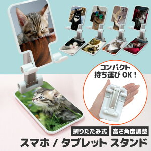 X}zX^h  X}z X^h z_[ ^ubg 掋 Q[vCf Vs ܂ݎ g X^h pxRݒ\ ~ RpNg ܂肽 y n