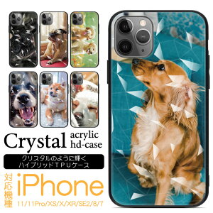 iPhone SE3 P[X SE2 11 11Pro XS X XR 8 7 iPhone11 iPhone11Pro iPhoneXR O 񐢑 AN ANfUC iphone11P[X iphone11proP[X iphoneP[X X}zP[X P[X TPUP[X  fU