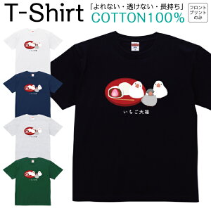 TVc Y fB[X 啟  Aj}  Hp WjA LbY  Rbg100 100 eB[Vc fUC vg ubN zCg lCr[ O[ O