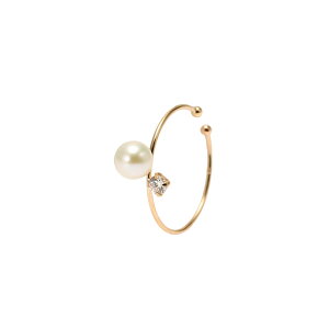 yЕzC[Jt K10CG[S[h Wp[ L[rbNWRjA(CJt)(Ў)(6a)[6257306208]