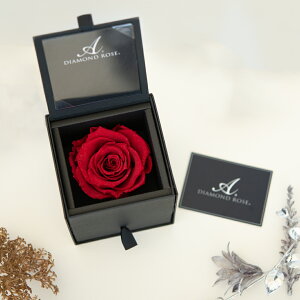 yʌMtg{bNXz_Ch[Y@Mtg{bNX(_Ch[Y)(uU[uht[)(A[T)[7739913003]