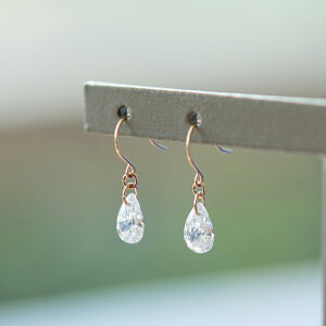 tbNsAX K10CG[S[h L[rbNWRjA(//hbv)[4652350102]