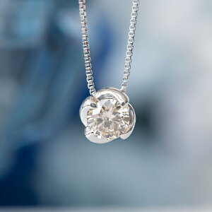 yʌIʉi񋟕izyi̋PIv`ilbNXzlbNX v`i _Ch0.2ct(ꗱ) (EhuAgJbg) (4a)(ӕʃJ[ht)[6221140152]