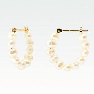 XibvsAX K10CG[S[h Wp[(t[vsAX(~/T[N)[4851306202]