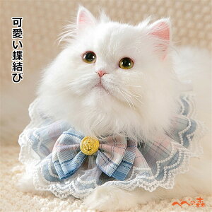 [XX^C ybgp悾ꂩ X^C  pi Lpi lbNX  [X { ԕ `FbN  hbOEFA pANZT[ ybgpi RŌ   L ˂ l