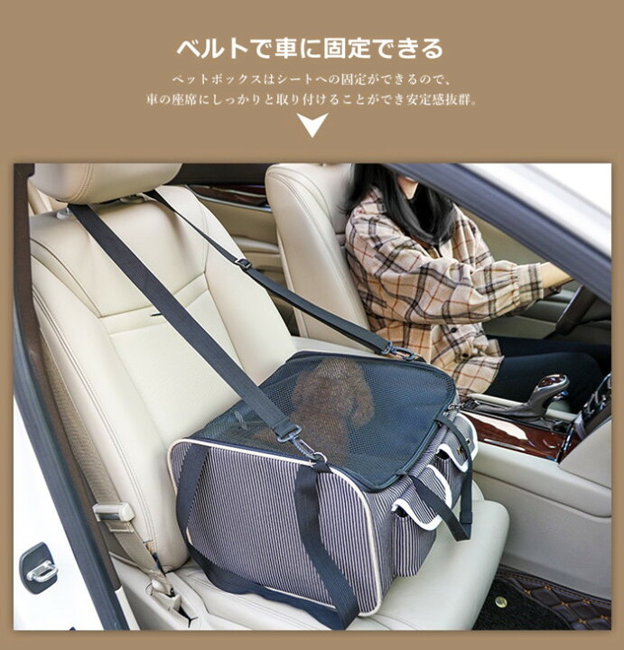 楽天市場】ペット 犬 ドライブボックス キャリーリュック ペットバッグ 
