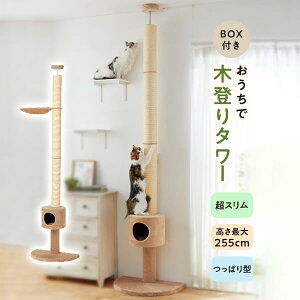 キャットタワー おうちで木登りタワー ボックス付き(突っ張り型) 猫 ねこ 猫タワー つっぱり 突っ張り 爪とぎ 省スペース きのぼり ペット ペピイ PEPPY