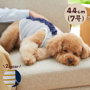 大型 犬 服 かわいいの人気商品 通販 価格比較 価格 Com