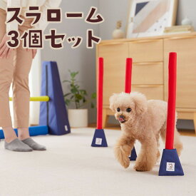 Sippoleアジリティ スラローム3個セット　犬 おもちゃ 室内 遊び トレーニング 運動 健康 ストレス発散 ペット ペピイ PEPPY