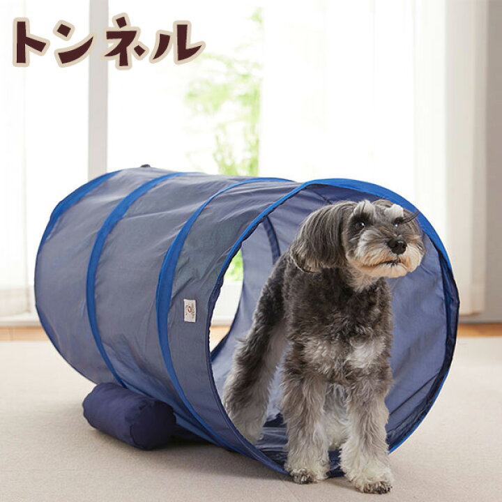 楽天市場 ｓｉｐｐｏｌｅアジリティ トンネル 犬 おもちゃ 室内 遊び トレーニング 運動 健康 ストレス発散 ペット ペピイ Peppy Peppy ペピイ 楽天市場店