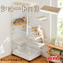 ケージ用ステップ　ショート・3個 ※ケージは別売りです。猫 ケージ ステップ 子猫 シニア 老猫 スコティッシュフォールド 階段 取付簡単 ダンボール製 爪とぎ PEPPY ペピイ