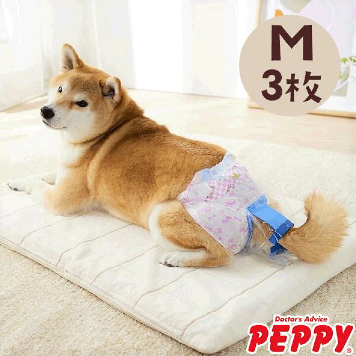楽天市場】うんぽパンツ M・3枚 犬 おむつ 介護 おもらし シニア犬 老 