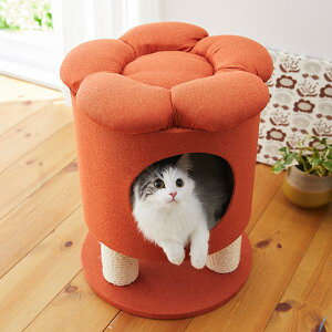 大型 猫 ベッドの人気商品 通販 価格比較 価格 Com 大型 猫 ベッドの人気商品 通販 価格比較 価格 Com