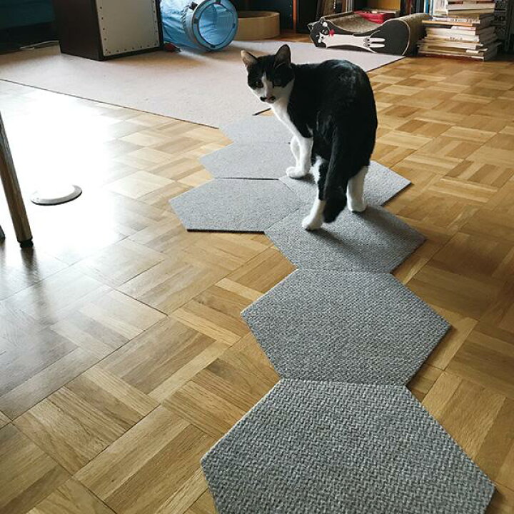 楽天市場 ピタッと吸着遊べる猫用六角マット 7枚 猫 マット 滑り止め ラグ インテリア かわいい おしゃれ 洗濯 丸洗い ペット ペピイ Peppy Peppy ペピイ 楽天市場店