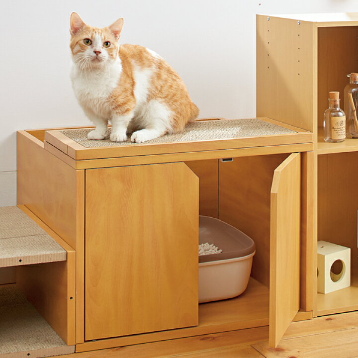 楽天市場 キャットレストルーム トップ 幅60 奥行52 高さ45cm 猫 トイレ トイレカバー爪とぎ ダンボール 家具 ペピイ Peppy ペピイ 楽天市場店
