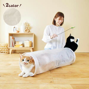 SmC[̂ɂ񂱃gl L  S gl mC[ 􂦂 S v ܂肽 RpNg[ y B