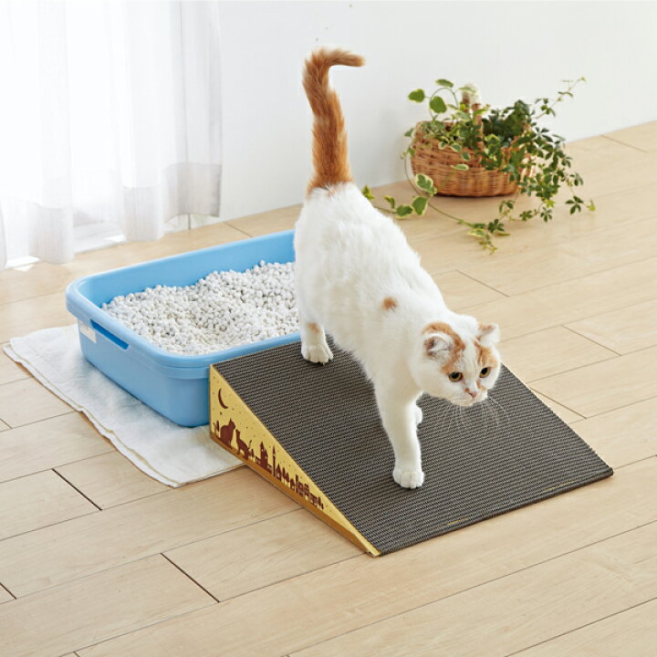 楽天市場 にゃんこスロープ シングル 猫 シニア 介護 ダンボール 国産 ペピイオリジナル Peppy ペピイ 楽天市場店 楽天市場 にゃんこスロープ シングル 猫 シニア 介護 ダンボール 国産 ペピイオリジナル Peppy ペピイ 楽天市場店