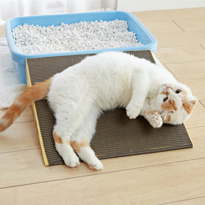 楽天市場 にゃんこスロープ シングル 猫 シニア 介護 ダンボール 国産 ペピイオリジナル Peppy ペピイ 楽天市場店