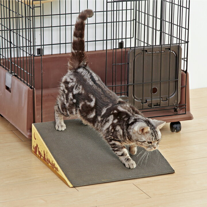 楽天市場】にゃんこスロープ シングル 猫 シニア 介護 ダンボール 国産 ペピイオリジナル : PEPPY(ペピイ) 楽天市場店 楽天市場】にゃんこスロープ シングル 猫 シニア 介護 ダンボール 国産 ペピイオリジナル : PEPPY(ペピイ) 楽天市場店