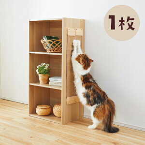 y12/1 |Cg5{zǂɓ\܂Ƃ{[h@ 1 L ܂Ƃ  Ђh~ h~ 