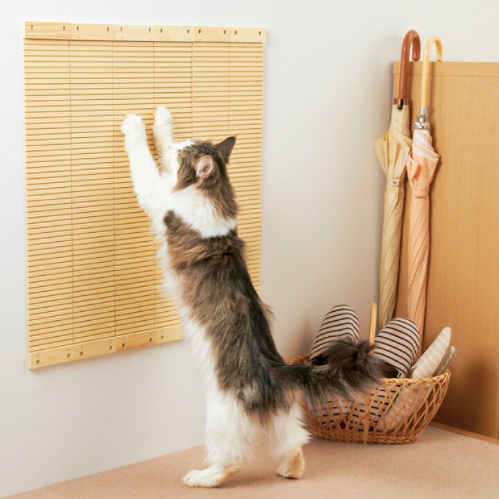 大量入荷 吸着壁に貼れる猫の爪とぎ段ボールタイプ 2枚 猫 ねこ 爪とぎ ひっかき 賃貸ok Diy 段ボール ペット ペピイ Peppy Riosmauricio Com