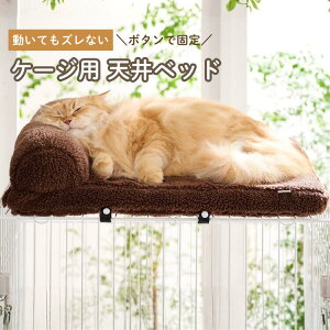 P[WpV{Axbh P[W V xbh H~p ~p  Ȃ Œ t@L xbh P[W ~  {A  h