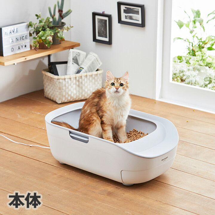 楽天市場 ペットケアモニター 本体 猫 ねこ トイレ 健康管理 計測 体重 尿量 温度 Iot 次世代 ペット ペピイ Peppy Peppy ペピイ 楽天市場店 楽天市場 ペットケアモニター 本体 猫 ねこ トイレ 健康管理 計測 体重 尿量 温度 Iot 次世代 ペット ペピイ Peppy Peppy ペピイ 楽天市場店