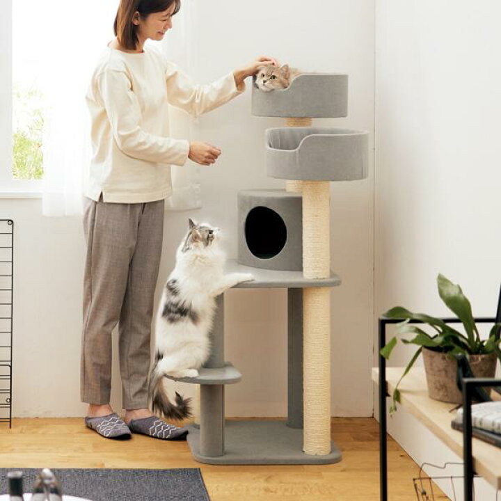 楽天市場】キャットタワー キャットベーシックタワー 据え置き 猫 猫 