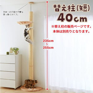 Ŗؓo^[ (˂^)@ւiZj40cm