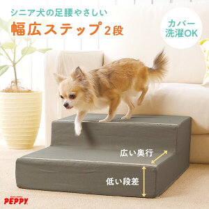 yX[p[SALEN[|聚zVjAɂ₳LXXebv 2i Ki NbV wjA ݑ \t@[ 􂦂 hbOXebv Ki ybg Xebv pKi pi pi 