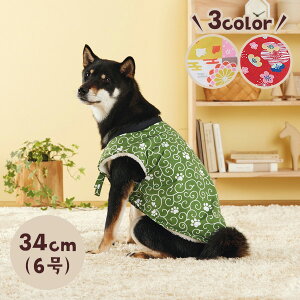 y11/1聚Xi|Cg5{z{A񂿂 6