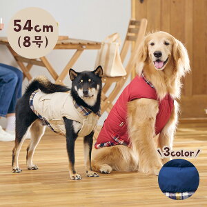 UKA_ExXg 8  AE^[ ~  xXg Wp[ 㒅 U ~ ΍