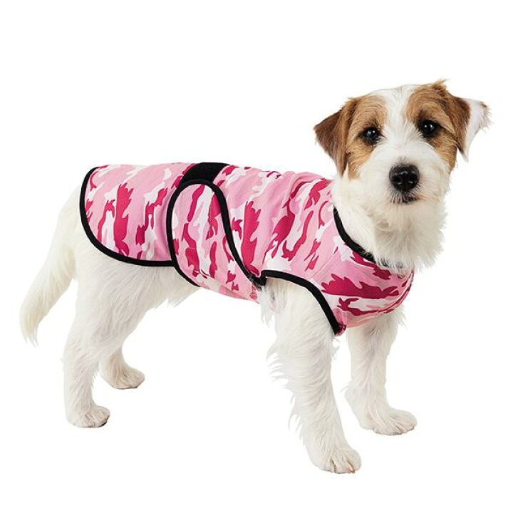 市場 犬用冷感ベスト フレンチブルドッググッズ 柴犬 程よいひんやり感 クールコート ｔシャツ 春夏 犬服 クール 涼しい