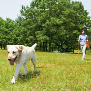 犬 ロングリードの通販 価格比較 価格 Com