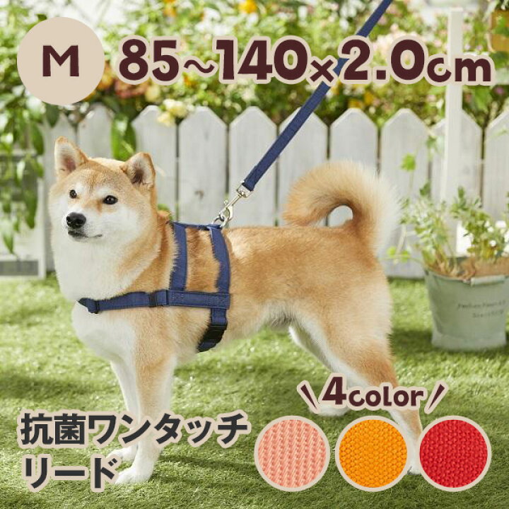 楽天市場 抗菌ワンタッチリード ｍ 犬 リード シンプル 抗菌 丈夫 散歩 引っ張り癖 ペット ペピイ Peppy Peppy ペピイ 楽天市場店