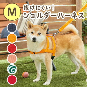 ɂV_[n[lX M iiFɂRۃV_[n[lXj@ n[lX ɂ ₷ S  U R ^ ^ ^ ybg ysC PEP