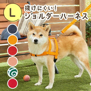 ɂV_[n[lX LiiFɂRۃV_[n[lXj@ n[lX ɂ ₷ S  U R ^ ^ ^ ybg ysC PEPP