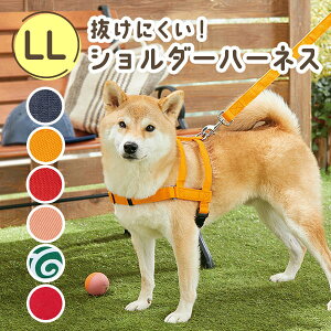 ɂV_[n[lX LLiiFɂRۃV_[n[lXj@ n[lX ɂ ₷ S  U R ^ ^ ^ ybg ysC PEP