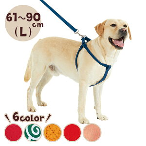 ɂXCOn[lX LiiFɂRۃXCOn[lXj n[lX ɂ  U ^ ^ ^ lCV[Y ybg ysC PEPPY