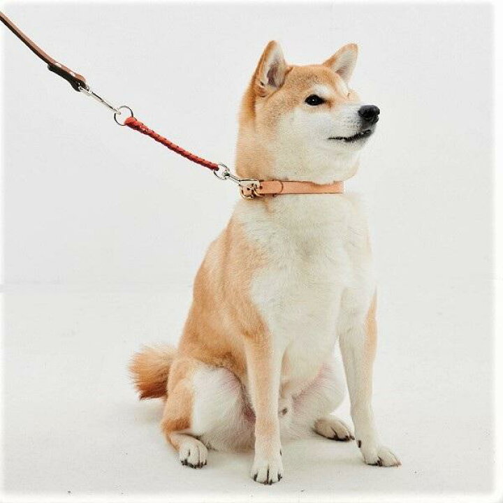 楽天市場 お散歩上手ショートリード 犬 いぬ 散歩 お出かけ ペット ペピイ Peppy Peppy ペピイ 楽天市場店