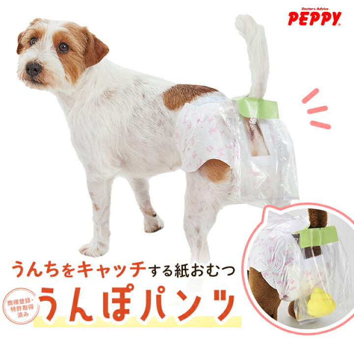 楽天市場】【Sサイズのみ再販】うんぽパンツ 犬 おむつ 便キャッチ 