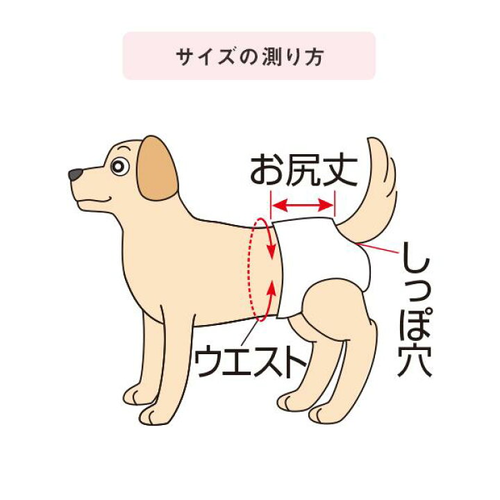 楽天市場】うんぽパンツ 犬 おむつ 便キャッチ うんち袋 介護 おもらし 
