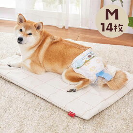 楽天市場 老犬 おむつの通販