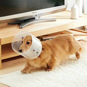犬 エリザベスカラー 健康管理用品 犬用健康管理用品の人気商品 通販 価格比較 価格 Com