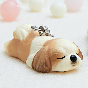 y12/1 |Cg5{zQđ҂V[Y[~j`[ uE O[ ubN Y ysCIWi 2017H~